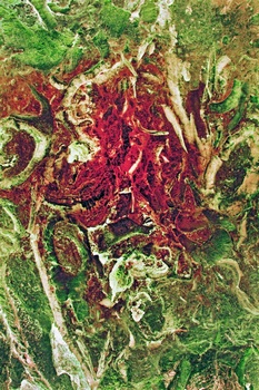 A 236A
